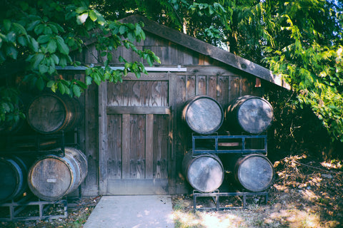 Cider Starter Kits