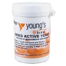 DRIED ACTIVE YEAST 100G